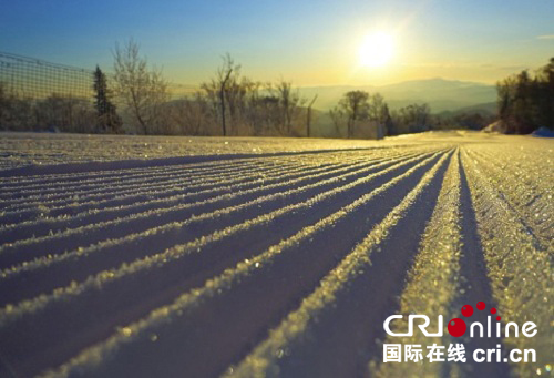 供稿已過【大美龍江】初冬的雪