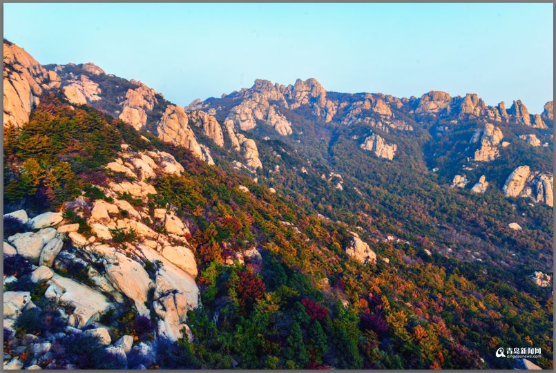 青島：彩葉模式初迎高潮 週末去巨峰看五花山