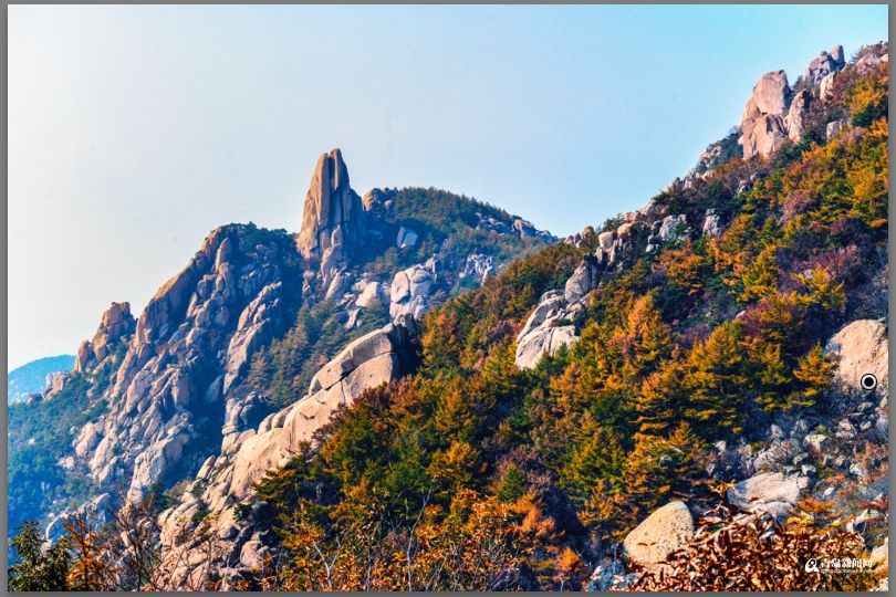 青島：彩葉模式初迎高潮 週末去巨峰看五花山