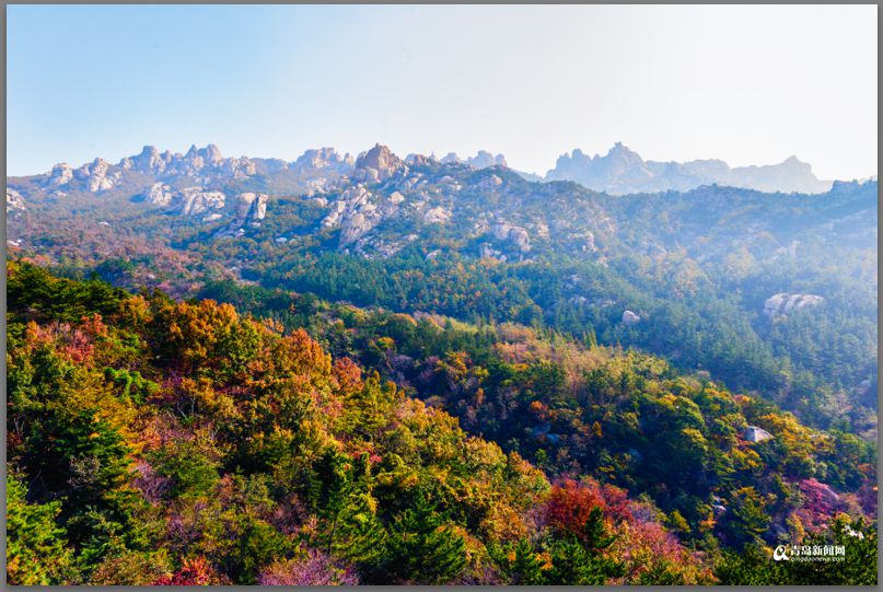 青島：彩葉模式初迎高潮 週末去巨峰看五花山