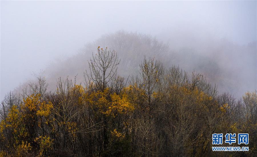 雲霧繚繞南宮山