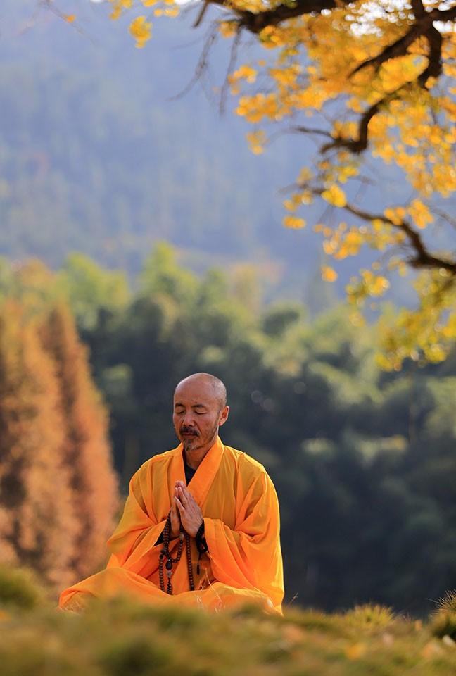 河南省商城縣：黃柏山法眼寺千年銀杏滿金黃