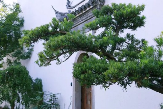 【旅遊（大文字）】廣富林文化遺址2018年春正式開園