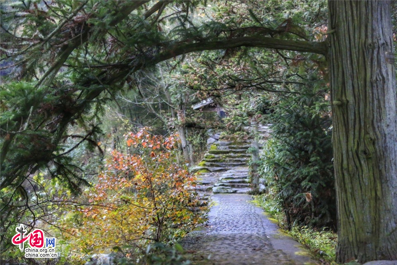 城步大寨村景美人少 真正原生態的侗族村寨