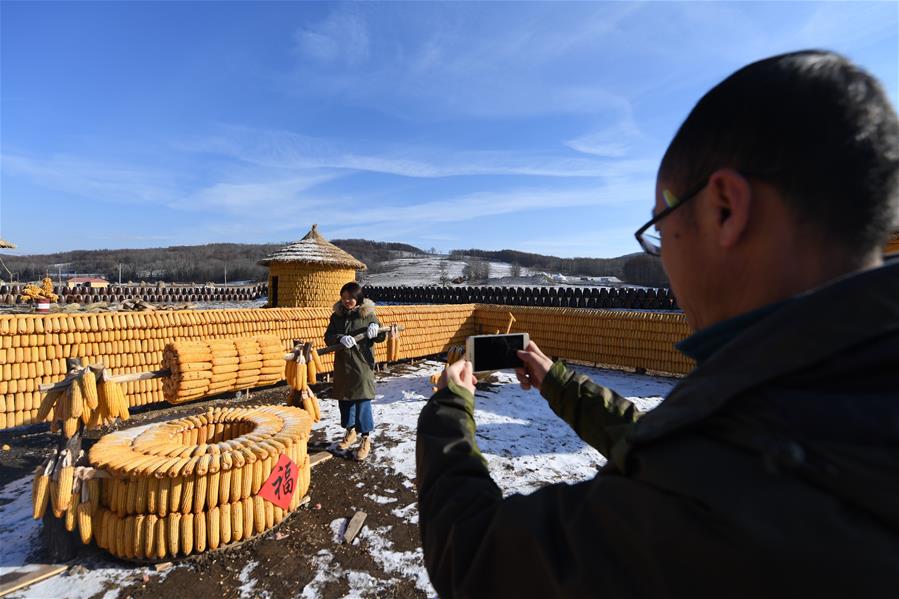 吉林舒蘭：3萬根玉米打造東北農村特色院落景觀