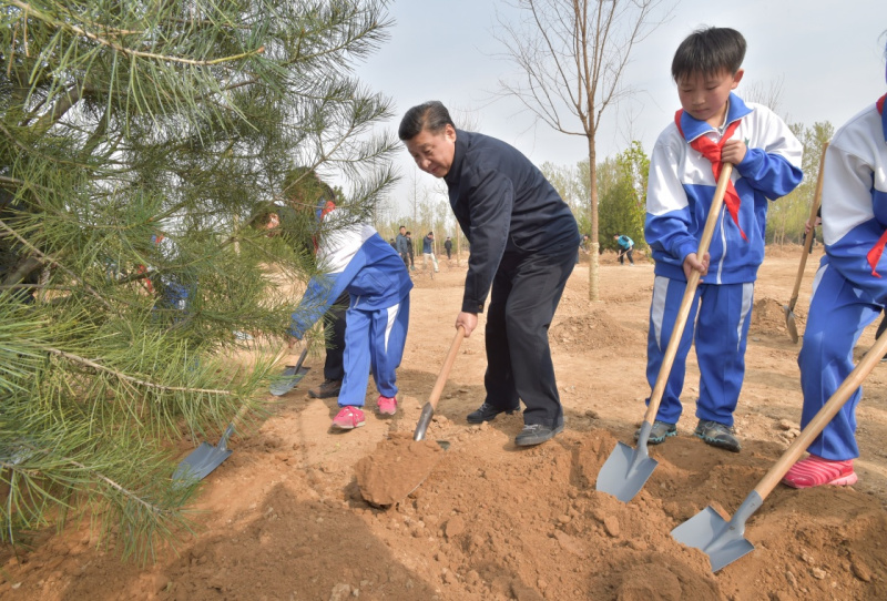 習近平：建設綠色家園是人類的共同夢想