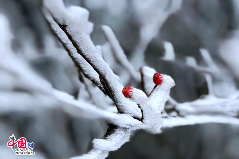 霧凇下的黃山 再現電影《冰雪奇緣》場景