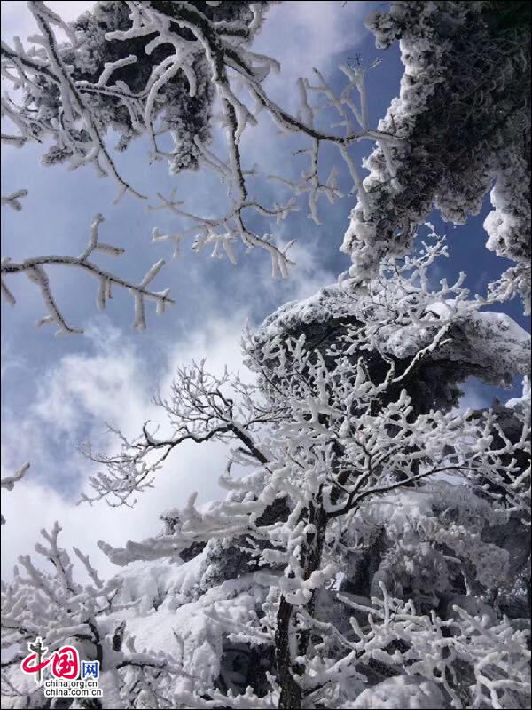 霧凇下的黃山 再現電影《冰雪奇緣》場景