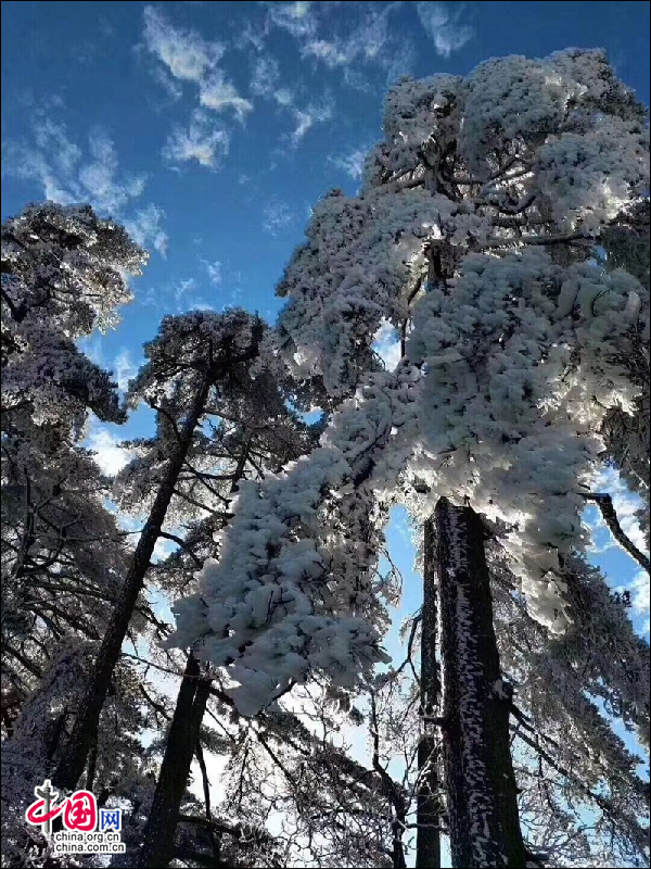 霧凇下的黃山 再現電影《冰雪奇緣》場景