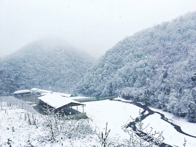 【文旅中原列表】洛陽：白雲花果處 銀裝點素顏