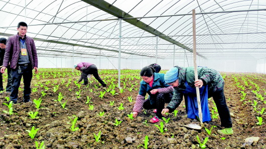 （要聞）貴州實現14個深度貧困縣國有企業結對幫扶全覆蓋