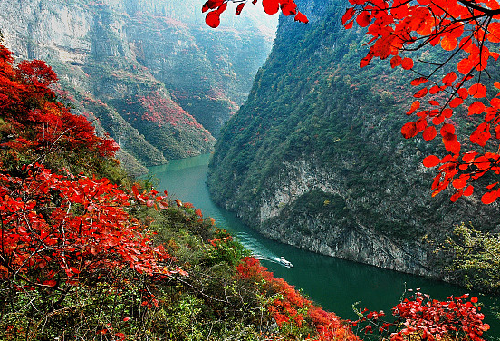 這個冬天 一起去巫山賞紅葉