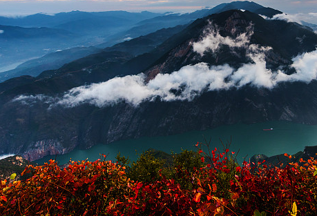 這個冬天 一起去巫山賞紅葉