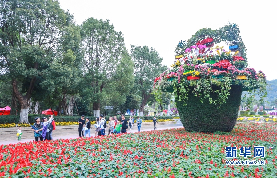 “農博會·花博會”上的“花樣漳州”