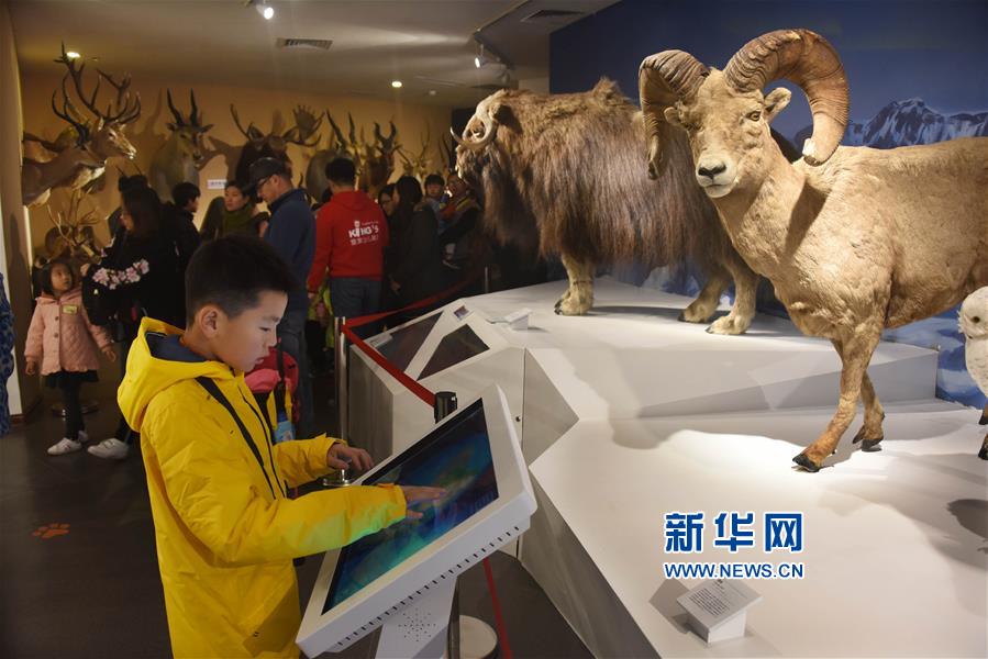 青島：貝林自然博物館開館