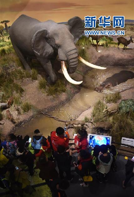 青島：貝林自然博物館開館