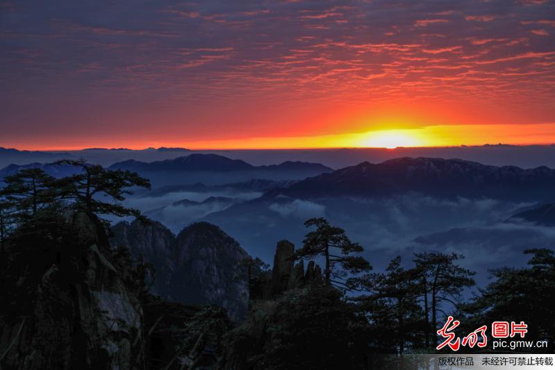 安徽：黃山出現今年入冬第一場霧凇 雲海景觀