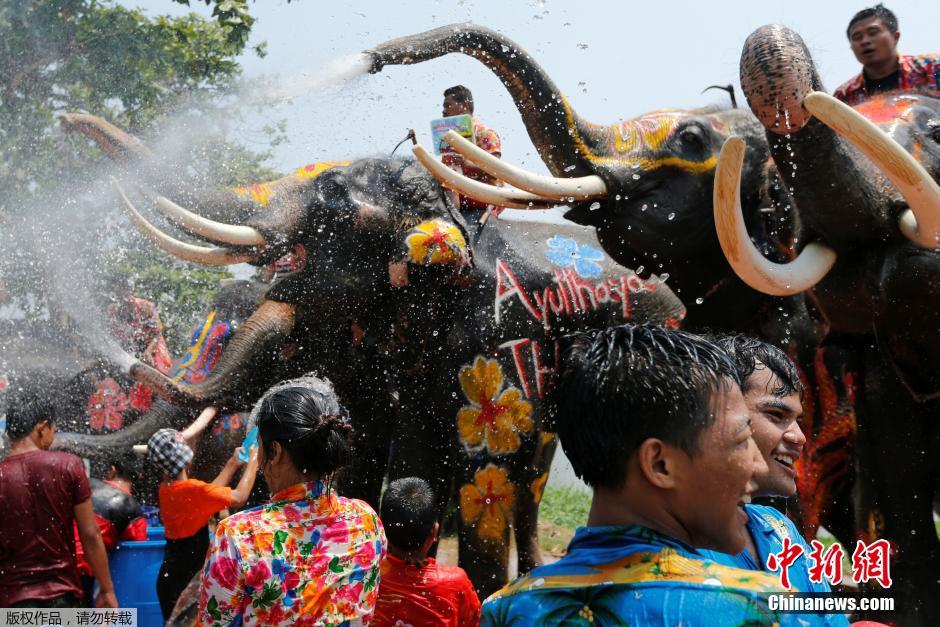 泰國民眾慶祝潑水節 大象長鼻秒變“水槍”