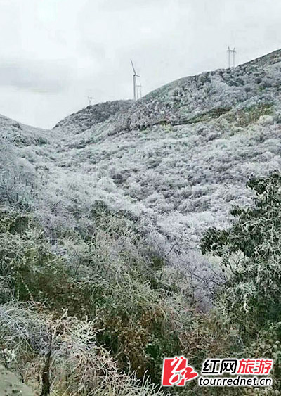 美輪美奐的冰雪季降臨 湖南多地霧凇盛景齊上線