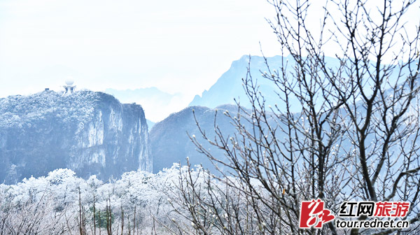 美輪美奐的冰雪季降臨 湖南多地霧凇盛景齊上線