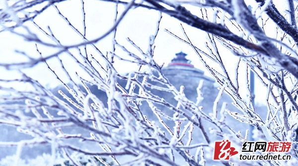 美輪美奐的冰雪季降臨 湖南多地霧凇盛景齊上線