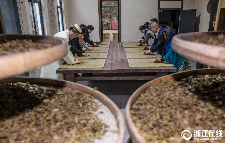 諸暨：中外來賓體驗紅茶製作