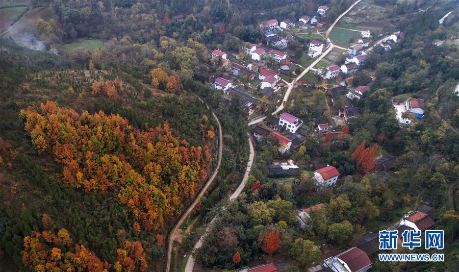 秦嶺南麓錦繡圖