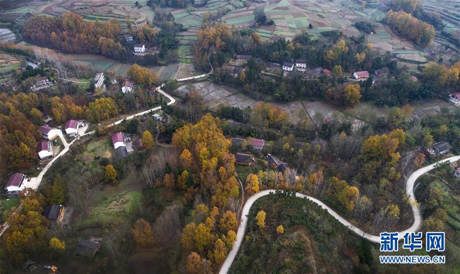 秦嶺南麓錦繡圖