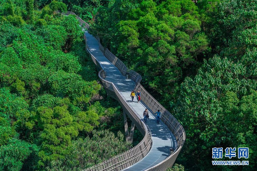 福州：空中綠道 城市幽境