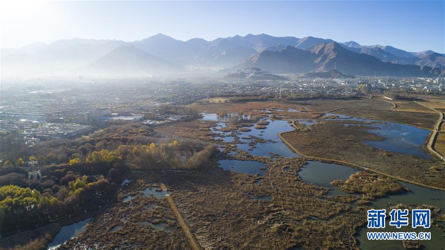 拉魯濕地：冬日“拉薩之肺”