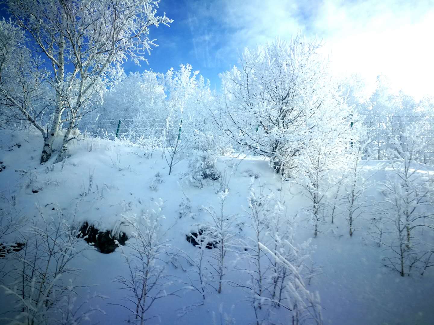 阿爾山的冬季：霧凇美景惹人醉