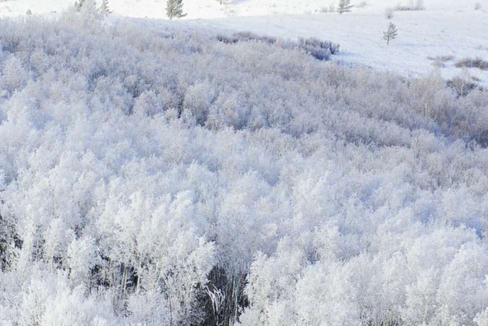 阿爾山的冬季：霧凇美景惹人醉