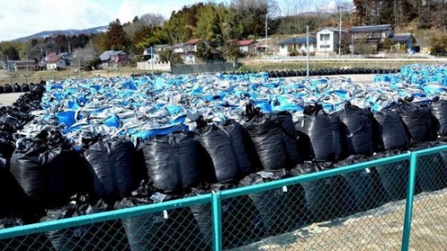 福島核事故污染垃圾正式開始運入過渡儲存設施