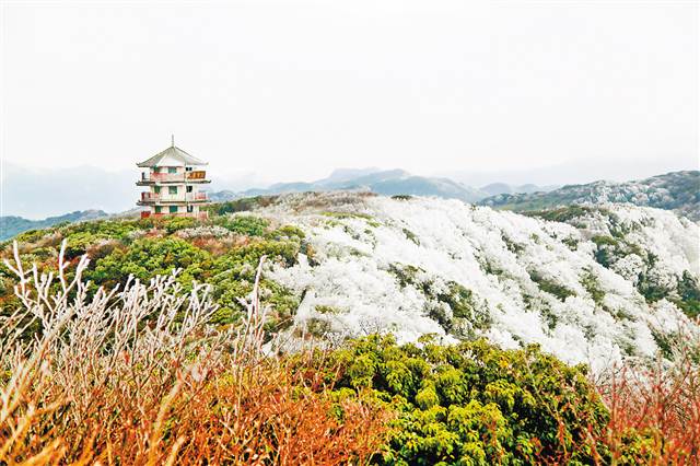 重慶：冰雪旅遊等你來