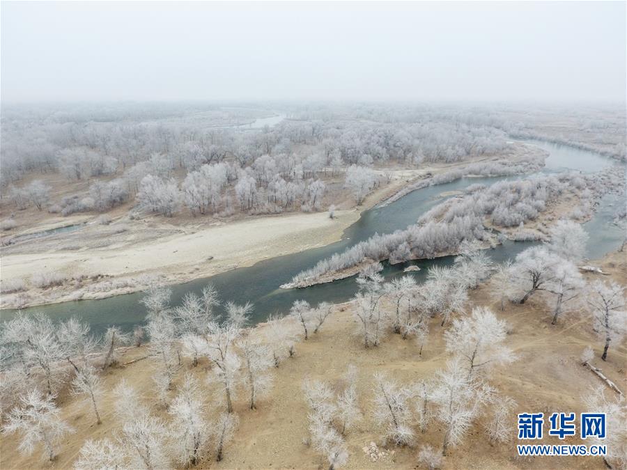 新疆額爾齊斯河流域現霧凇景觀