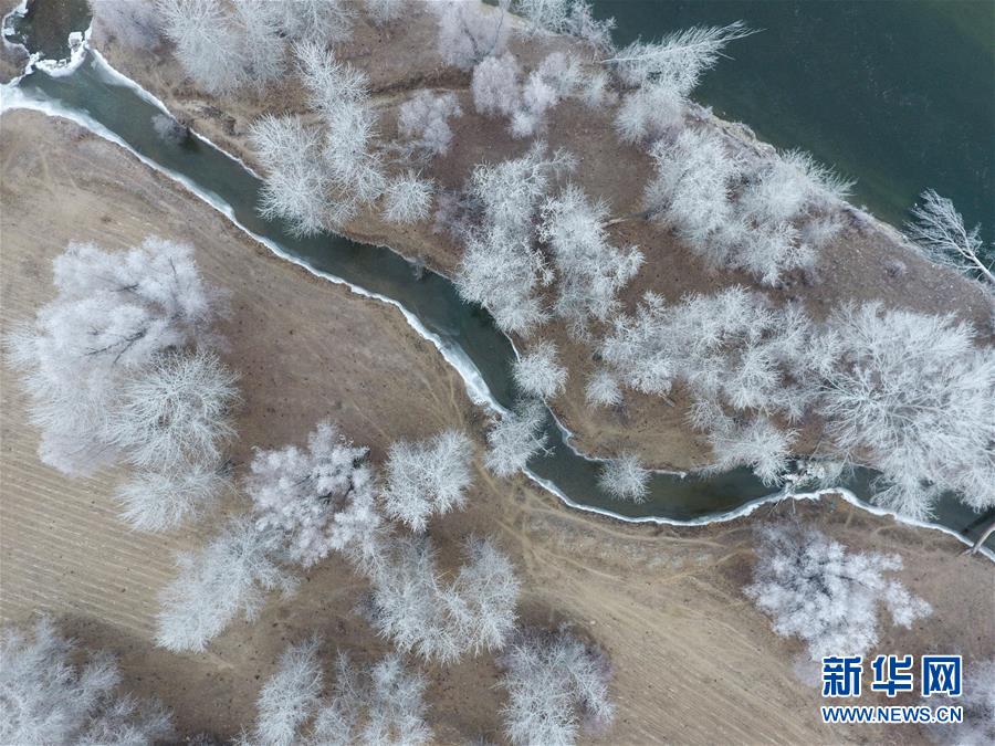 新疆額爾齊斯河流域現霧凇景觀