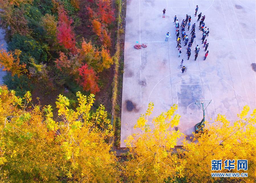 湖南衡陽：冬日多彩校園