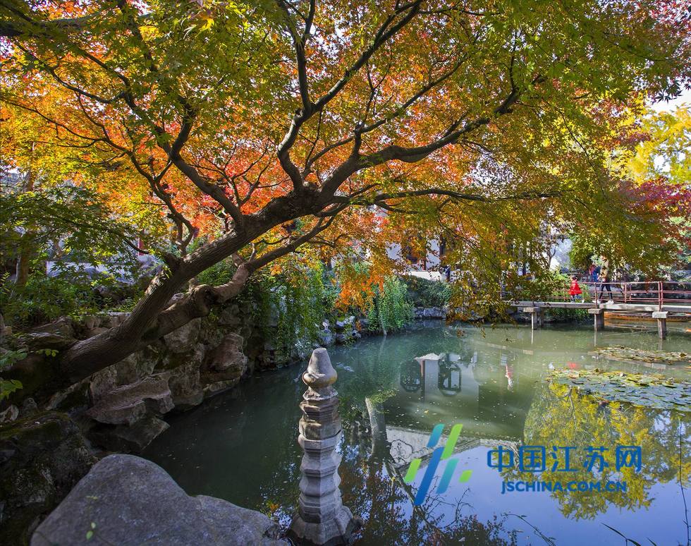 蘇州：紅楓銀杏秋染怡園