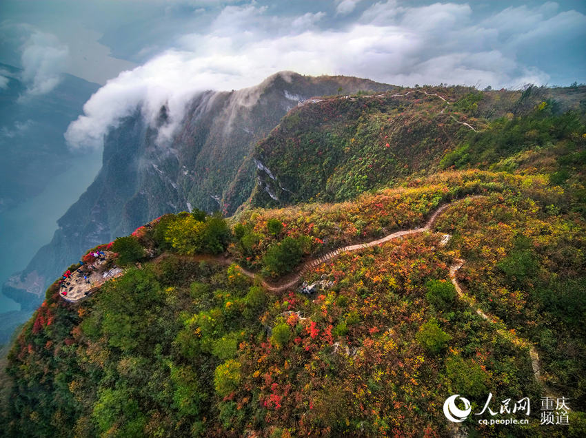 紅葉映三峽 雲海美如畫