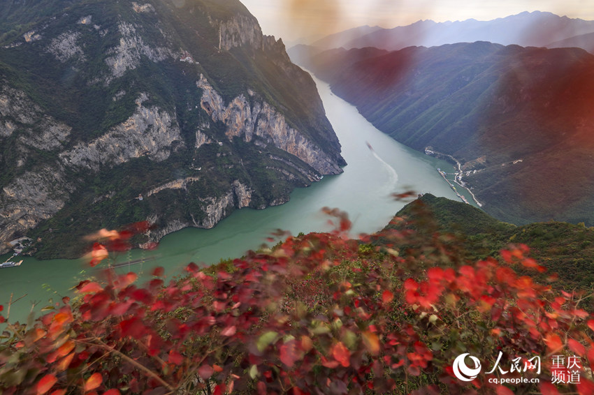 紅葉映三峽 雲海美如畫