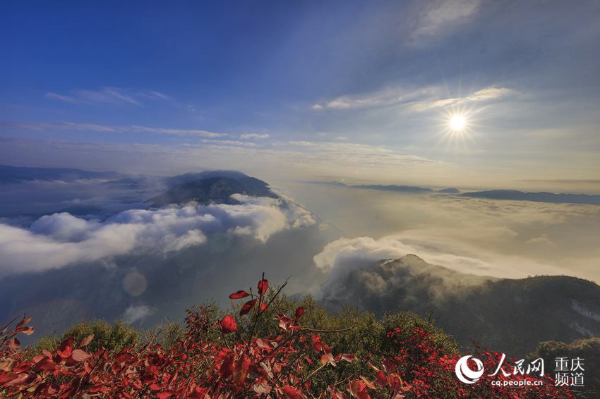 紅葉映三峽 雲海美如畫