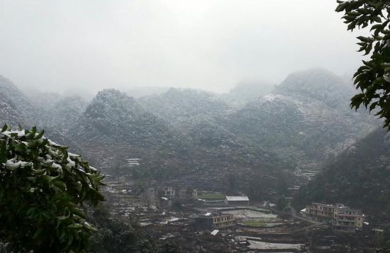 山中天峨 不一樣的冬日芬芳