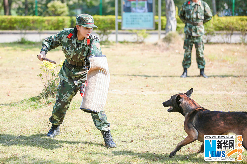 湖南衛視《奇兵神犬》楊爍張馨予特警救援挑戰自我