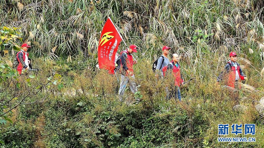 圖片默認標題