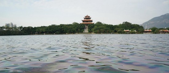 泉州西湖公園C湖泛油光 原來是上游清淤設備漏油