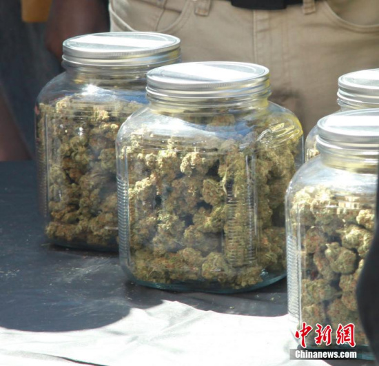 加拿大民調顯示過半安大略省民眾支持大麻合法化