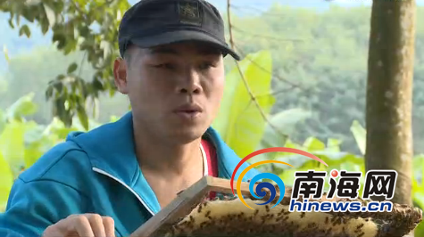 白沙專題【輪播圖】白沙貧困戶靠養蜂脫貧 聯合8戶養蜂共奔致富路