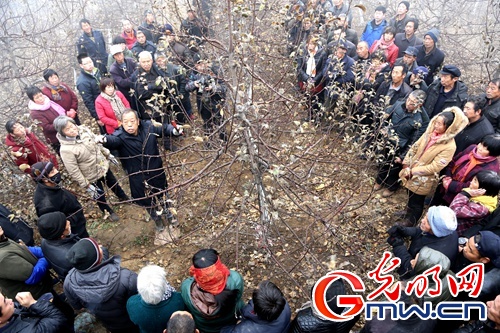 【網絡媒體走轉改】李保國：“願做太行一棵樹”