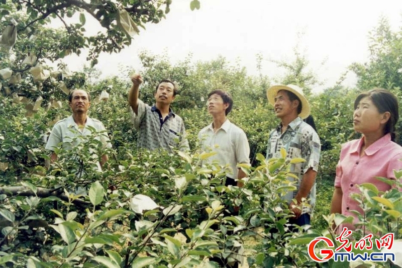 【網絡媒體走轉改】追憶李保國教授：心繫農民 情灑太行