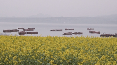 點燃全民健身熱情 助力嵩縣全域旅遊